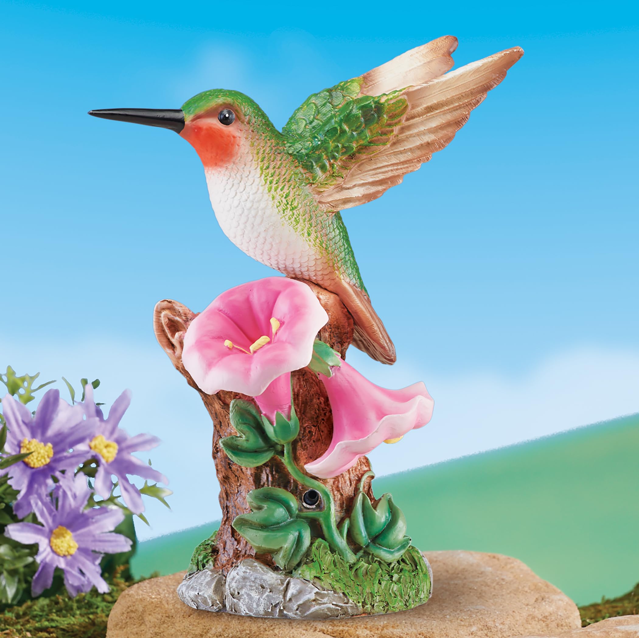 Amazon.com : Collections Etc Motion Activated Hummingbird Garden
